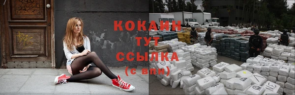 молекула духа Няндома