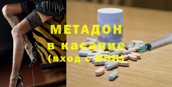 индика Нязепетровск