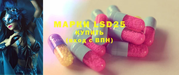 молекула духа Няндома