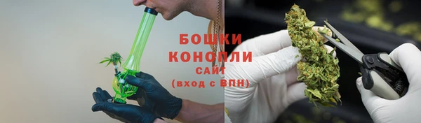 молекула духа Няндома