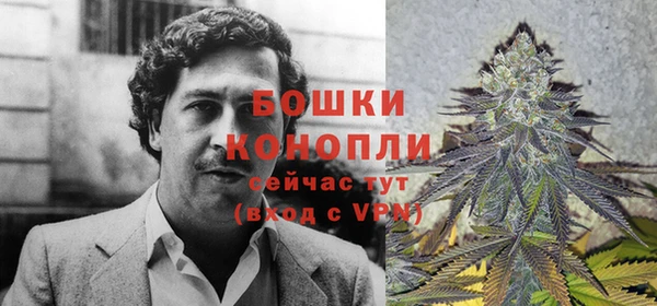 мет Нягань