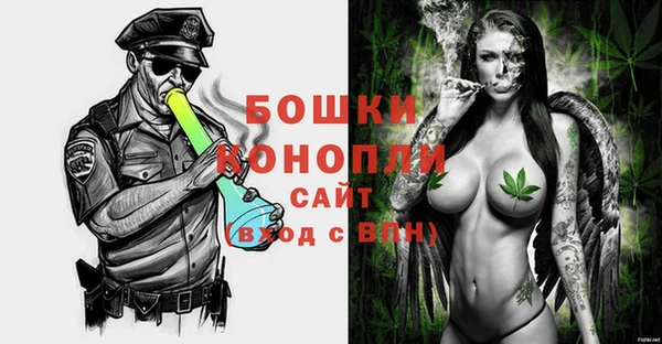 индика Нязепетровск