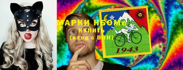 молекула духа Няндома
