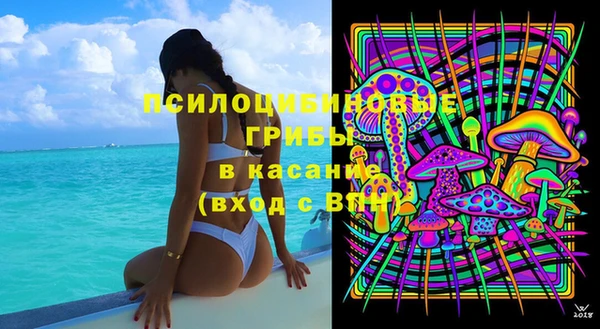 индика Нязепетровск