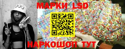 гидропоника Гусь-Хрустальный