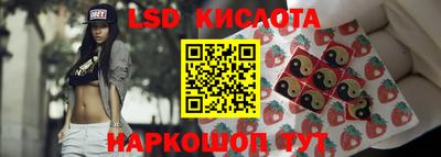 прущие грибы Гусиноозёрск