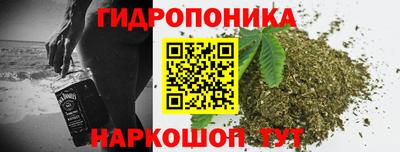 прущие грибы Гусиноозёрск
