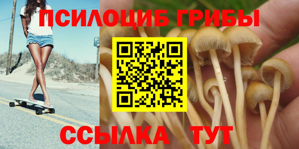 Галлюциногенные грибы Magic Shrooms  Галлюциногенные грибы Psilocybe  Вход с VPN  Ростов-на-Дону 